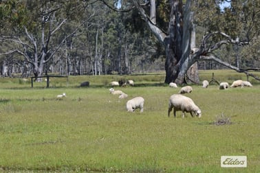 Fyans Creek Road Fyans Creek VIC 3381 - Image 1