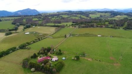 170 Maynards Plains Road Dorrigo NSW 2453 - Image 1