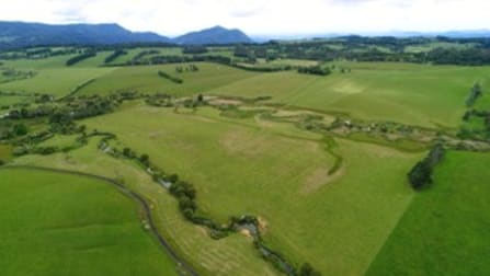 170 Maynards Plains Road Dorrigo NSW 2453 - Image 2
