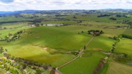 170 Maynards Plains Road Dorrigo NSW 2453 - Image 3