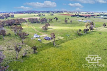 145 Jabez Hill Road Guyra NSW 2365 - Image 3