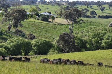 1081 Triangle Flat Road Bathurst NSW 2795 - Image 1