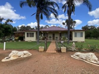 10025 Kidman Way Hillston NSW 2675 - Image 3