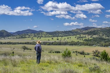 864 Mole River Road Tenterfield NSW 2372 - Image 1