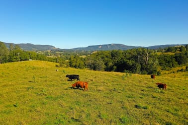 5 Hensen Road Nimbin NSW 2480 - Image 3