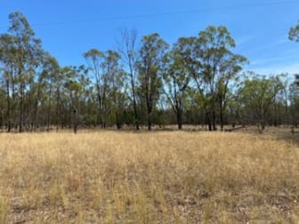 Lot 11 Wieambilla Road Tara QLD 4421 - Image 3