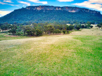 389 Upper Nile Road Rylstone NSW 2849 - Image 1