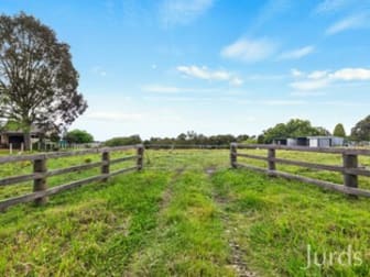 186 Tocal Road Bolwarra Heights NSW 2320 - Image 2