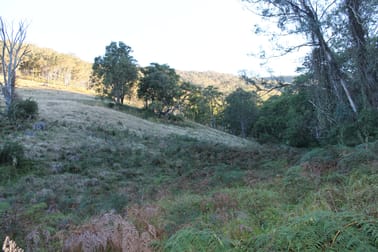 Lot 2 Off Neringla Road Braidwood NSW 2622 - Image 3