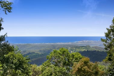 767 Trees Road Currumbin Valley QLD 4223 - Image 2