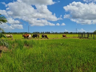 Lot 4 Kate Boylan Road Mourilyan QLD 4858 - Image 1