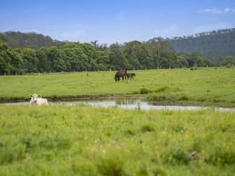 Click to view all images 2490 Sherwood Creek Road Glenreagh NSW 2450 - Image 2