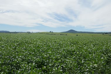 Lot 2 Hillyard's Road Kyogle NSW 2474 - Image 3