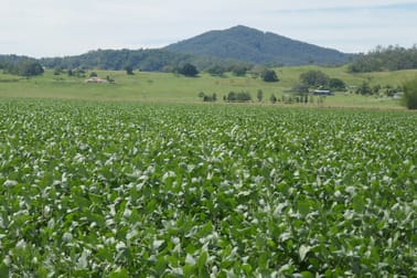 Lot 2 Hillyard's Road Kyogle NSW 2474 - Image 2