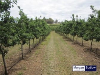 Click to view all images 275 Springall Road Deanmill WA 6258 - Image 1