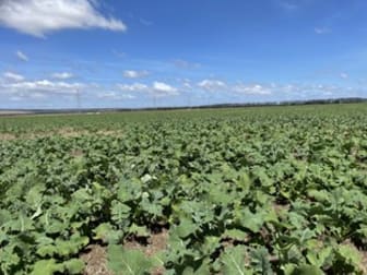 Click to view all images 6405 Woolsthorpe-Heywood Road Heywood VIC 3304 - Image 3