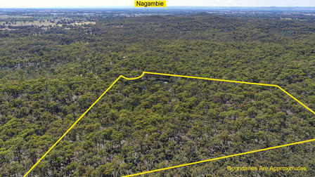 Lot 43 Nugget Court Bailieston VIC 3608 - Image 3