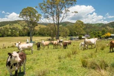 43 THONE RIVER ROAD Byabarra NSW 2446 - Image 3