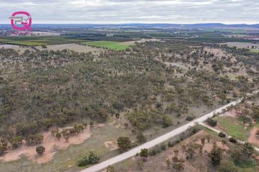 452 Merungle Hill Road Leeton NSW 2705 - Image 2