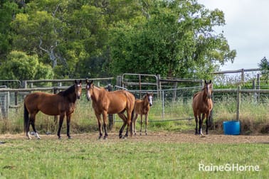 19 Chambers Road Nairne SA 5252 - Image 2