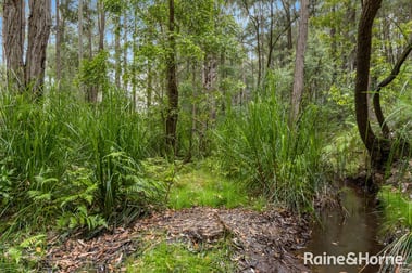 49b Woollamia Road Falls Creek NSW 2540 - Image 3