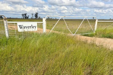 'Waverley' 282 Woodford Road Trundle NSW 2875 - Image 2