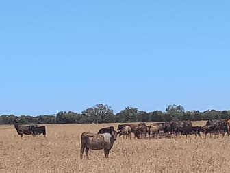 Lot 10055 Dawson -Touche Road Carnamah WA 6517 - Image 1