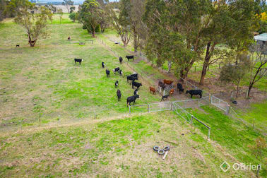 560 Paynesville Road Bairnsdale VIC 3875 - Image 3