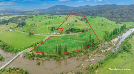 "Riverview" 2460 Towamba Road Towamba NSW 2550 - Image 1