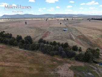 'Glencoe', 529 Napiers Road Piney Range NSW 2810 - Image 3