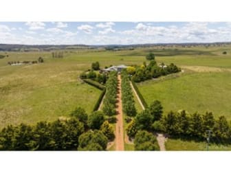 703 Dangarsleigh Rd "Sun Valley" Metz NSW 2350 - Image 3