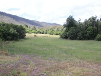 Lots 1773 & 41 Rettkes Road Swanfels QLD 4371 - Image 1