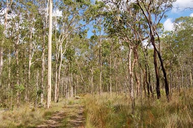 2176 Old Tenterfield Road Kippenduff NSW 2469 - Image 3