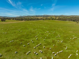 4162 Frogmore Road Hovells Creek NSW 2794 - Image 2