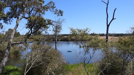 Lot 2242 Clayton Road Treeton WA 6284 - Image 1