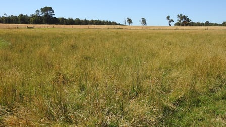 Lot 2242 Clayton Road Treeton WA 6284 - Image 3