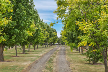 105 Powers Lane Birregurra VIC 3242 - Image 1