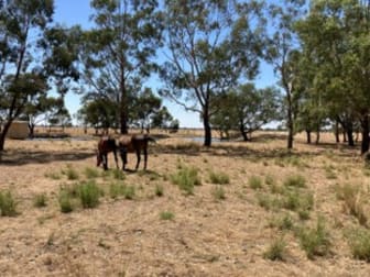 Lot 2 Hattwell Road Echuca VIC 3564 - Image 1