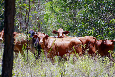 "TINPOT" MONOMEATH ROAD Diglum QLD 4680 - Image 2