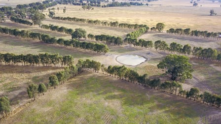 Lot 1/353 Coach Road Benalla VIC 3672 - Image 3