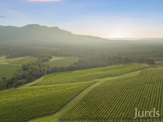 Click to view all images Lot 3 Mistletoe Lane Pokolbin NSW 2320 - Image 2