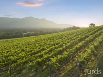 Click to view all images Lot 3 Mistletoe Lane Pokolbin NSW 2320 - Image 1