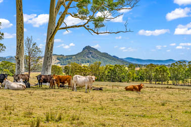 169 Gloucester Tops Road Gloucester NSW 2422 - Image 1