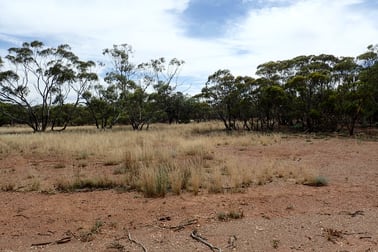 Section/143 Pine Creek Road Parnaroo SA 5422 - Image 1