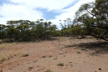Section/143 Pine Creek Road Parnaroo SA 5422 - Image 2