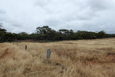 Section/143 Pine Creek Road Parnaroo SA 5422 - Image 3