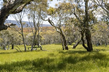 "Candlebark" 821 Big Yard Road Moonbah NSW 2627 - Image 3