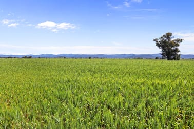 Montrose 109 Thornfield Crossing Road Narrabri NSW 2390 - Image 1