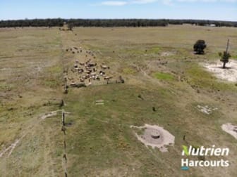 1451 Braithwaites Road Chinchilla QLD 4413 - Image 3