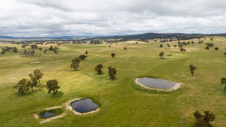 91 Gill Road Walcha NSW 2354 - Image 1